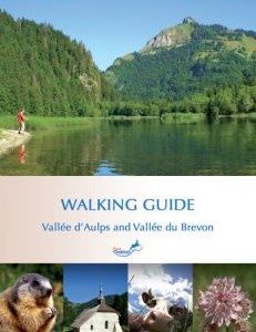 Summer Walking Guide