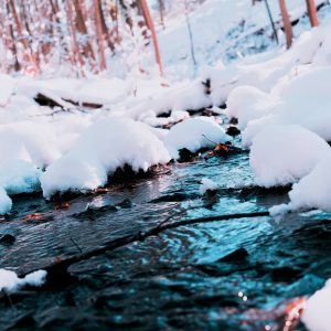 snow lined river seen whilst snowshoeing along the Dereche in Morzine