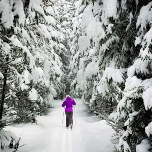 woman snowshoeing in Morzine through snowy forest path