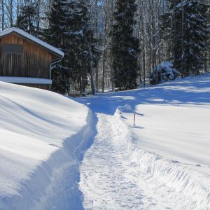 snowshoeing on super Morzine trail going into forest past a cabin