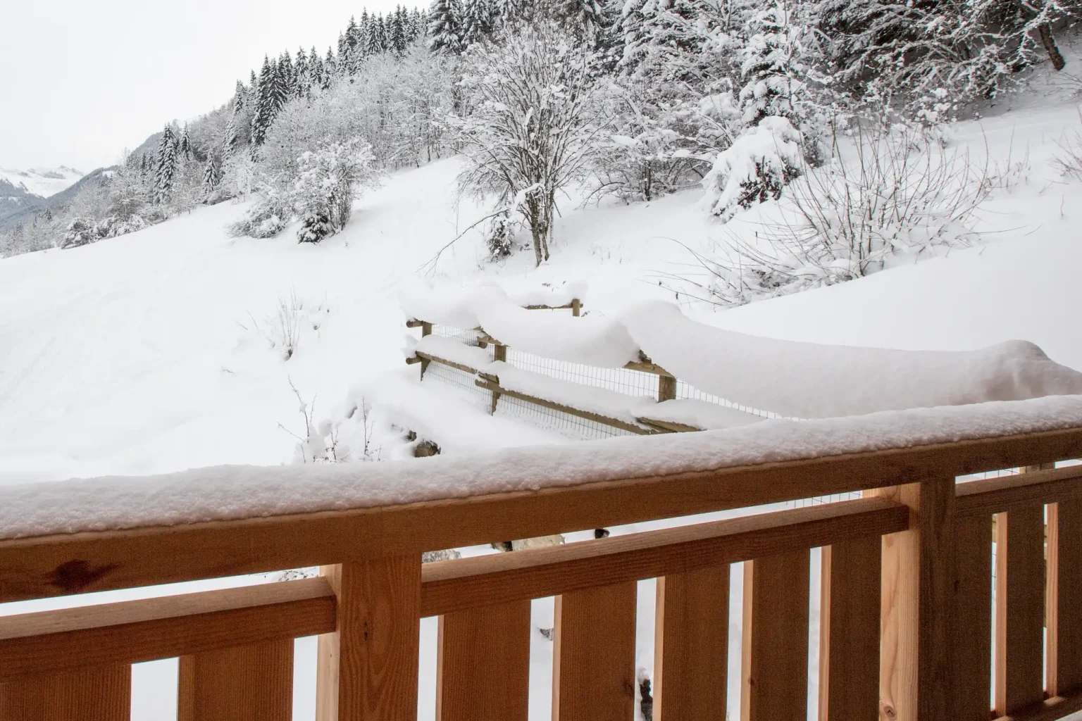 Elevation Alps - Altaka 4 - Winter Terrace Snow