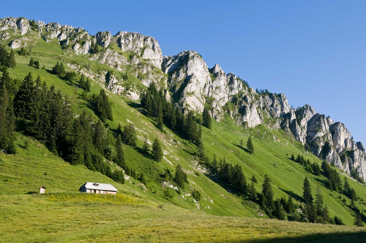 Summer Morzine Activity Guide – Hiking Mont Ouzon