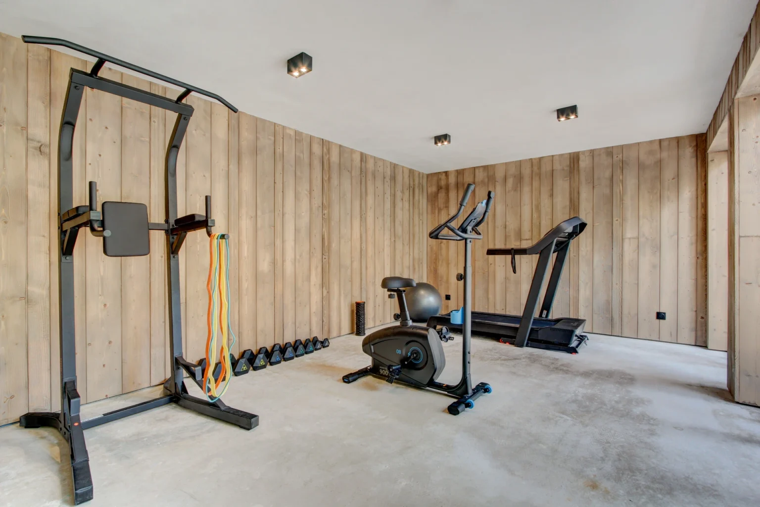 Mesange Boreale gym