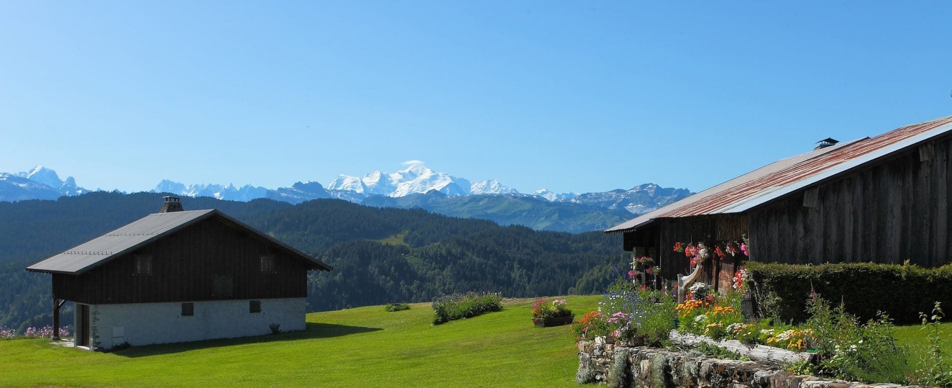 Summer Morzine Activity Guide – Hiking Mont Chery