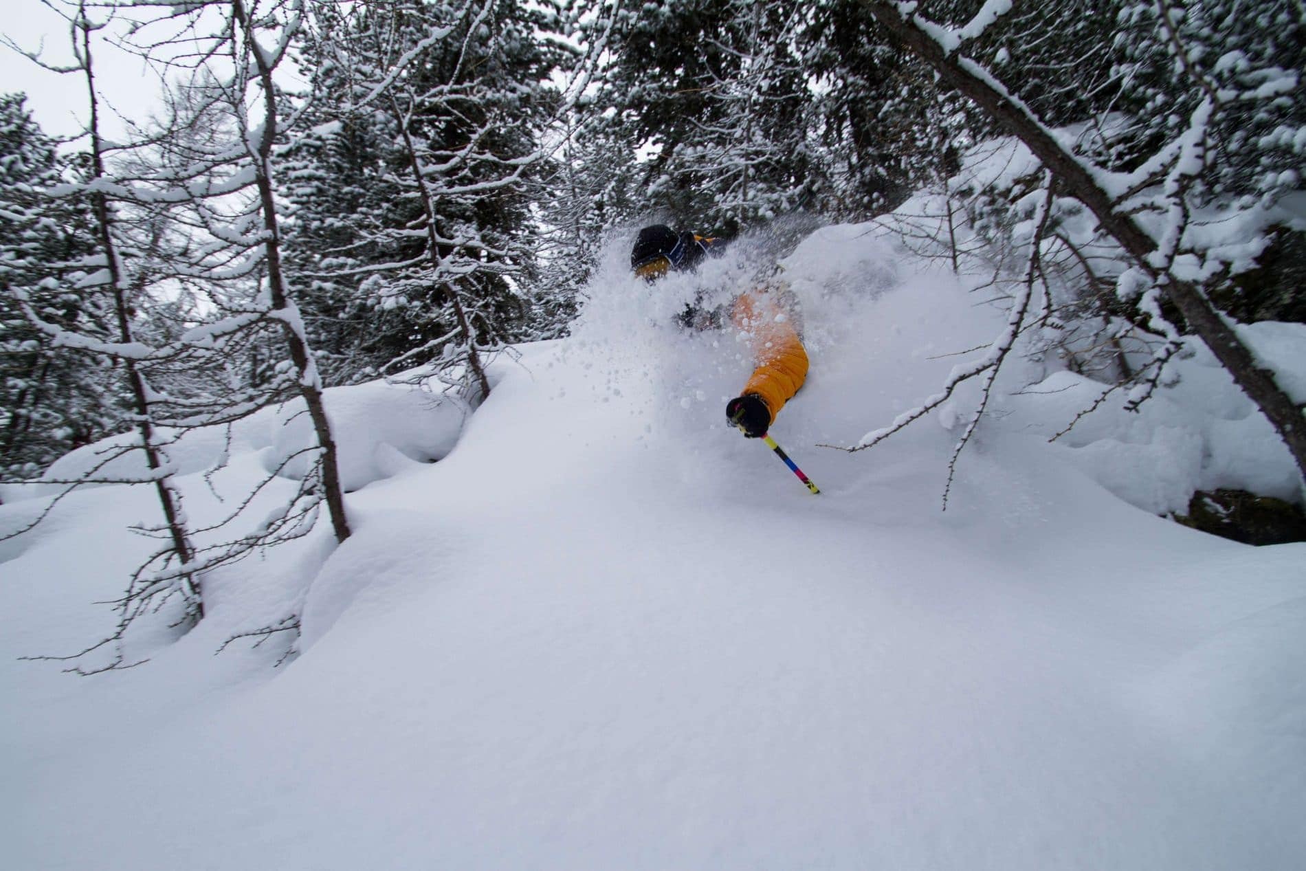How To Ski Powder