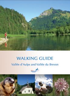 Summer Walking Guide